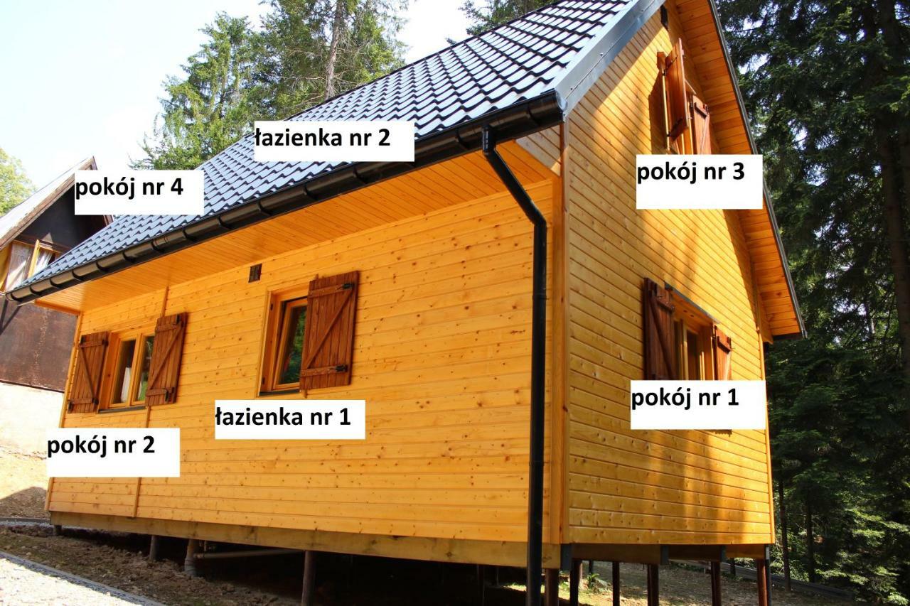 Lesna Willa Pttk W Komanczy Komancza Exterior photo