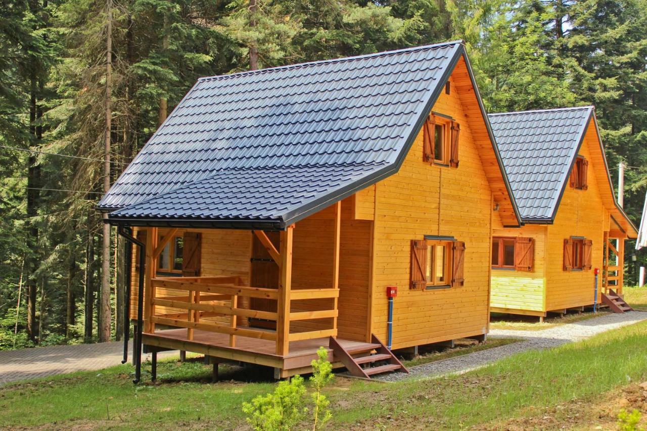 Lesna Willa Pttk W Komanczy Komancza Exterior photo