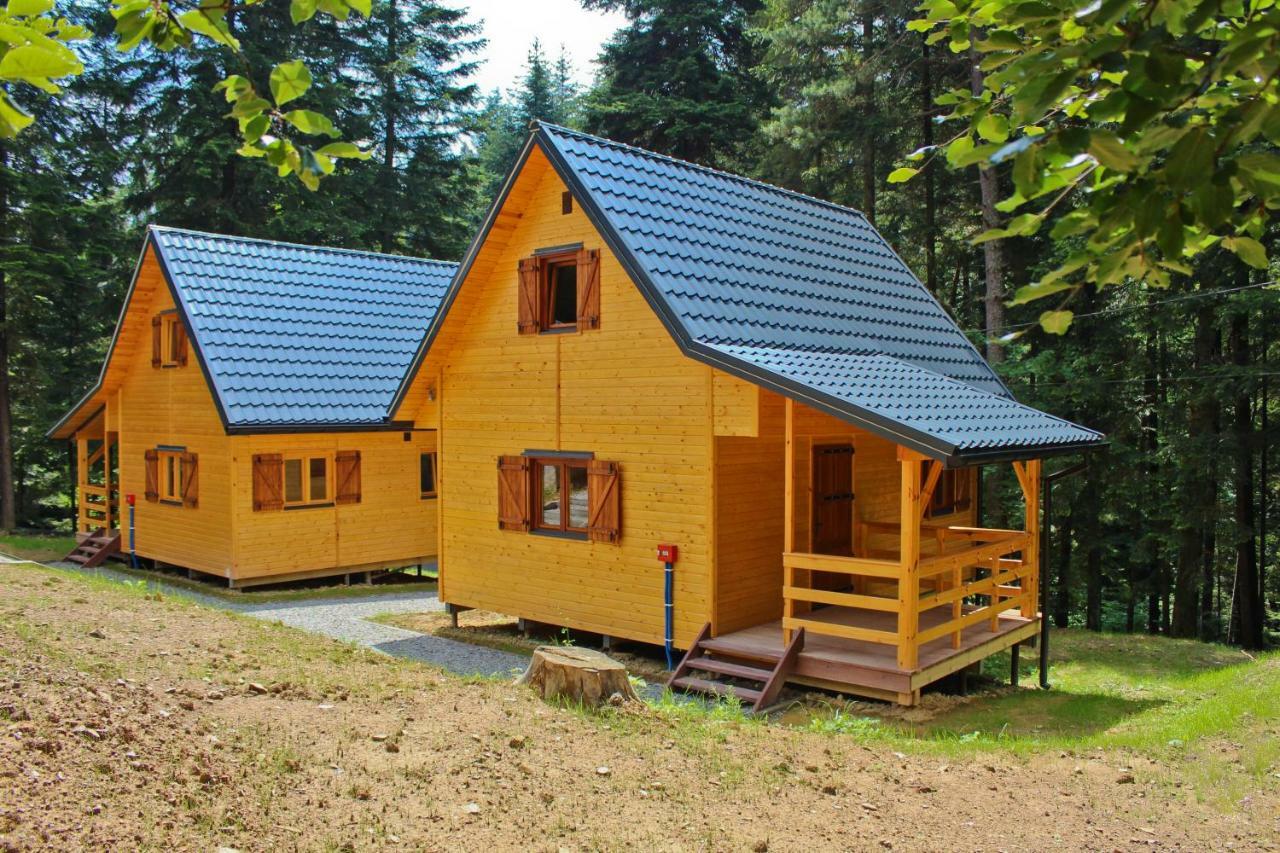 Lesna Willa Pttk W Komanczy Komancza Exterior photo